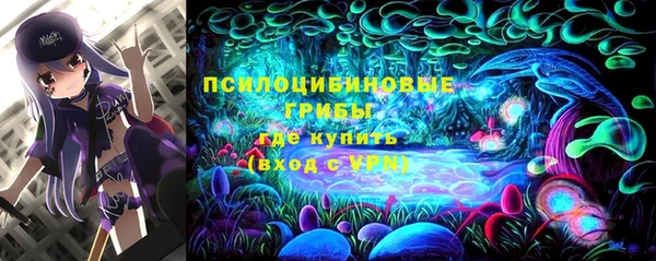 винт Богданович